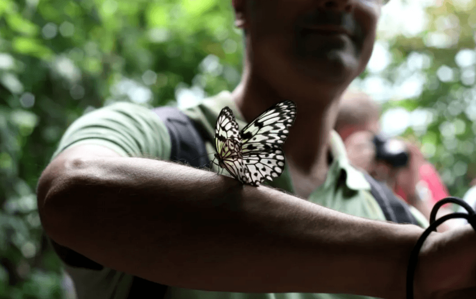 London Zoo: Entry Ticket - Image 14
