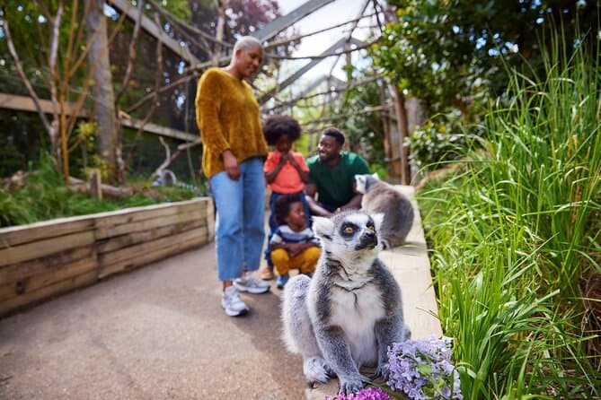 London Zoo: Entry Ticket - Image 5